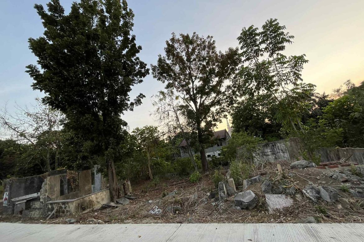 Land for Sale in Camiling, Tarlac – photo 2