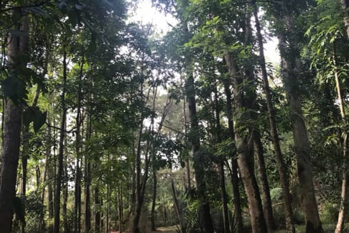 Land for Sale in Camp 7, Baguio, Benguet – photo 6