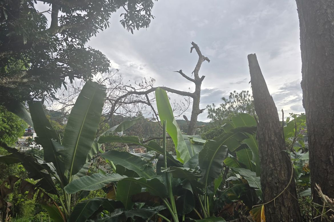 Land for Sale in Camp 7, Baguio, Benguet – photo 4