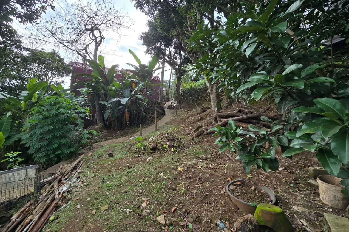 Land for Sale in Camp 7, Baguio, Benguet – photo 6