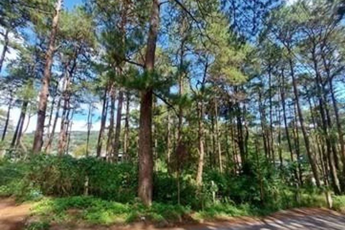 Land for Sale in Camp 7, Baguio, Benguet – photo 2