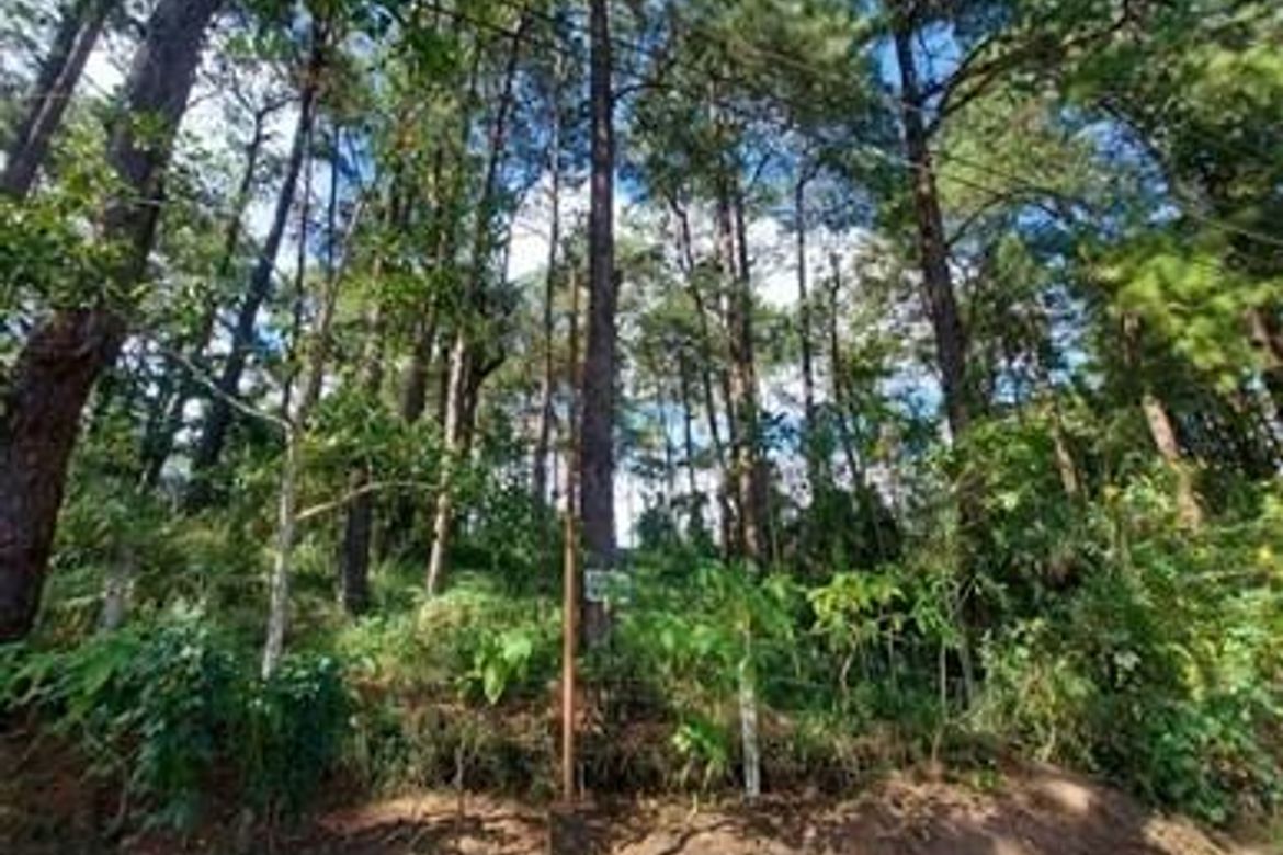 Land for Sale in Camp 7, Baguio, Benguet – photo 3