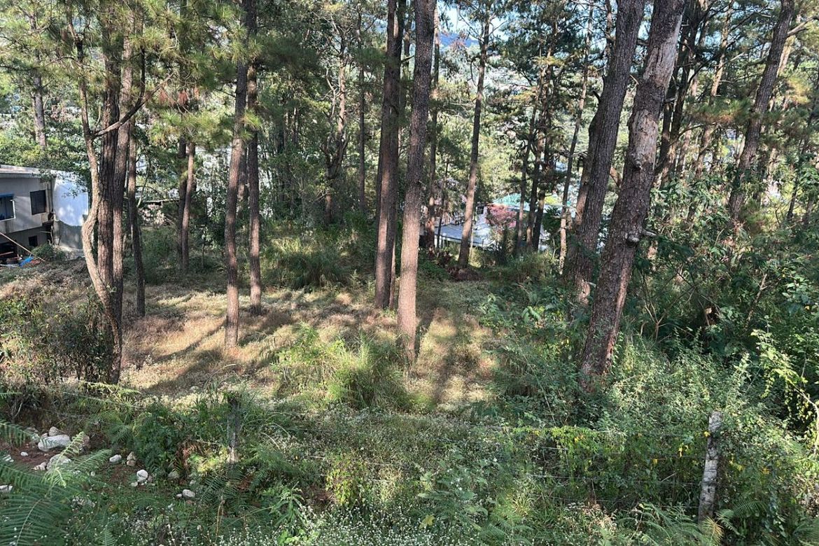 Land for Sale in Camp 7, Baguio, Benguet – photo 6