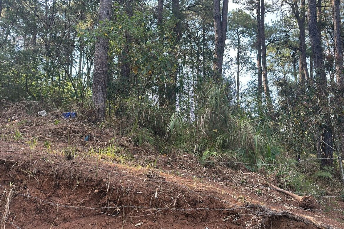 Land for Sale in Camp 7, Baguio, Benguet – photo 8