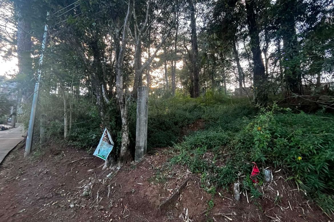 Land for Sale in Camp 7, Baguio, Benguet – photo 3