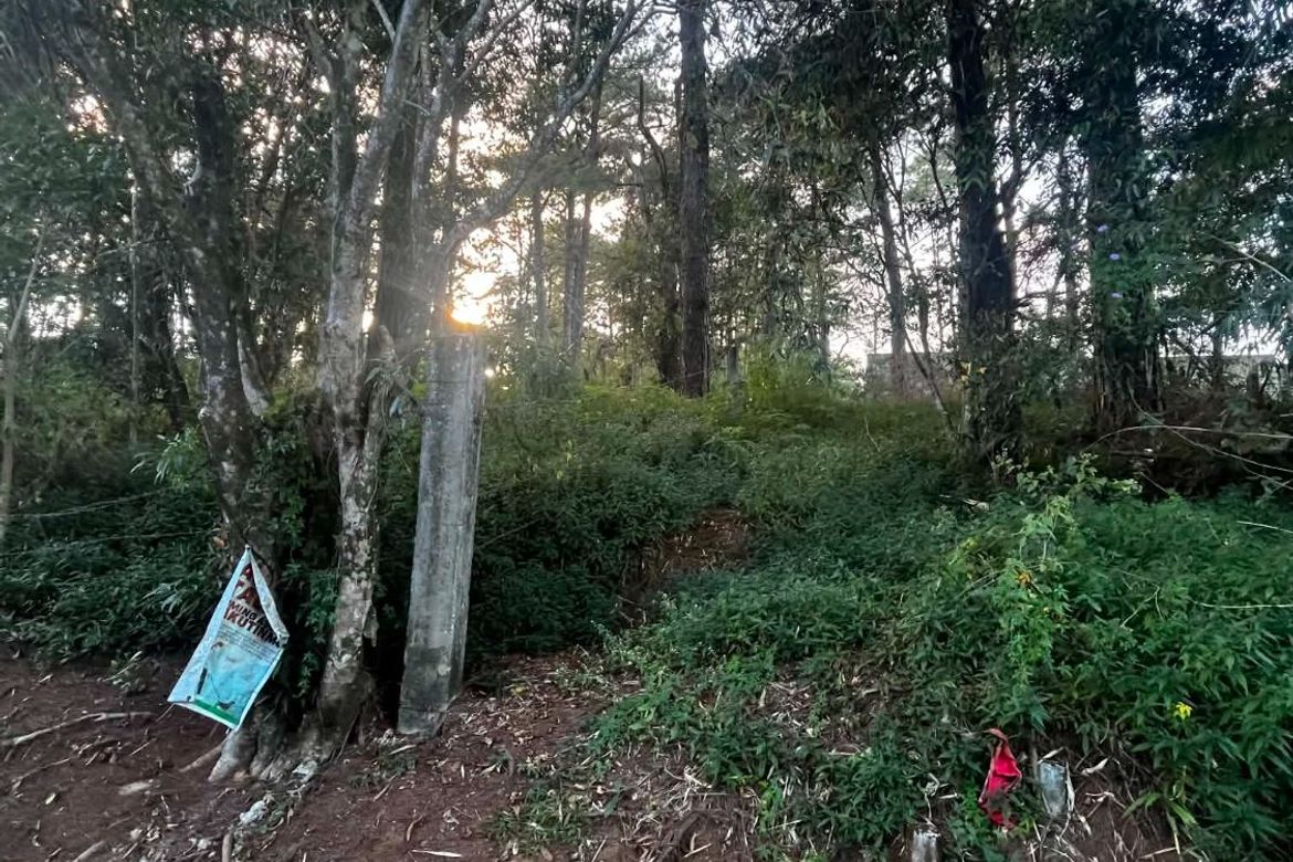 Land for Sale in Camp 7, Baguio, Benguet – photo 4