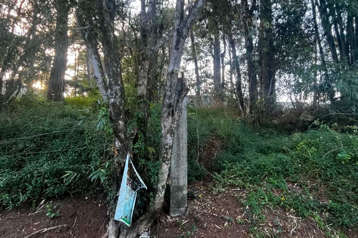 Land for Sale in Camp 7, Baguio, Benguet – photo 5