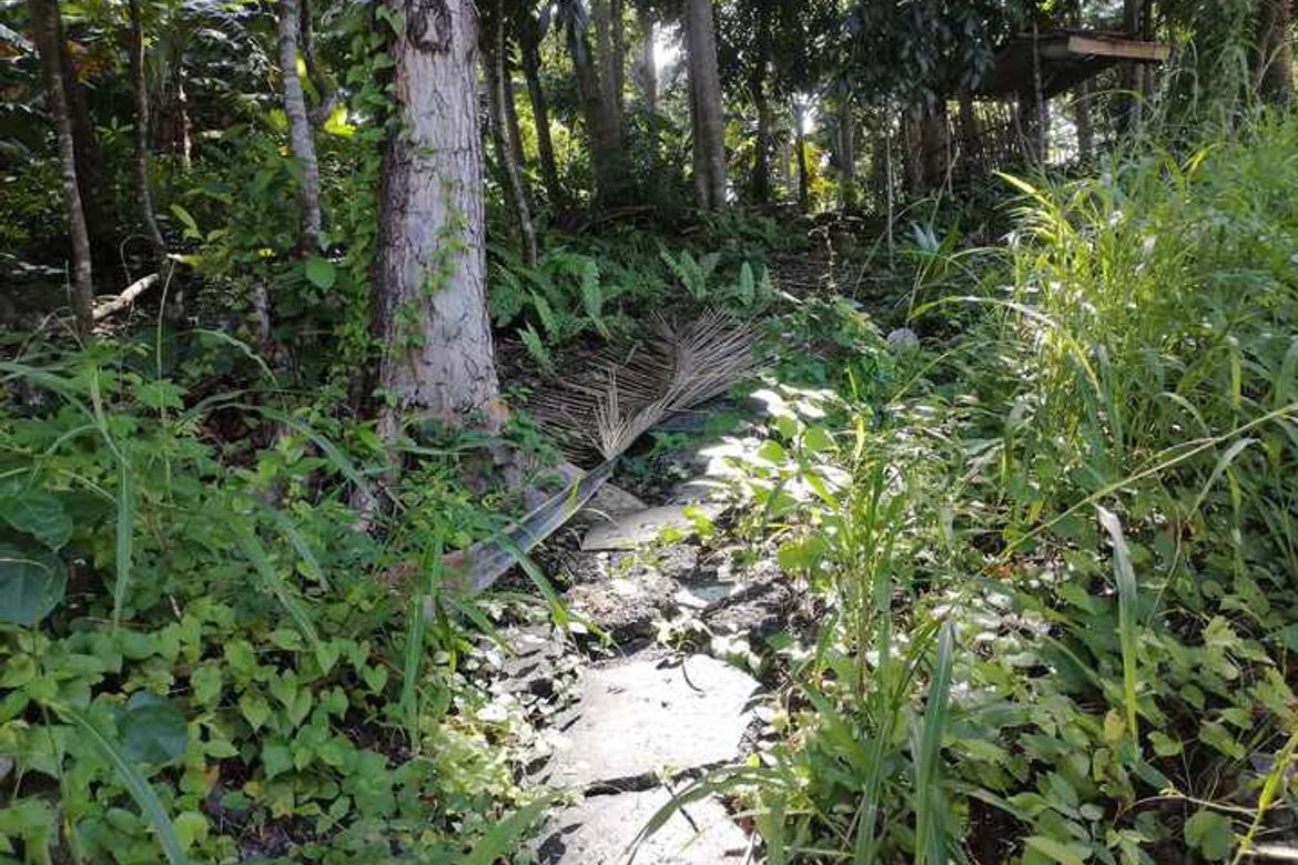 Land for Sale in Campalanas, Lazi, Siquijor – photo 8