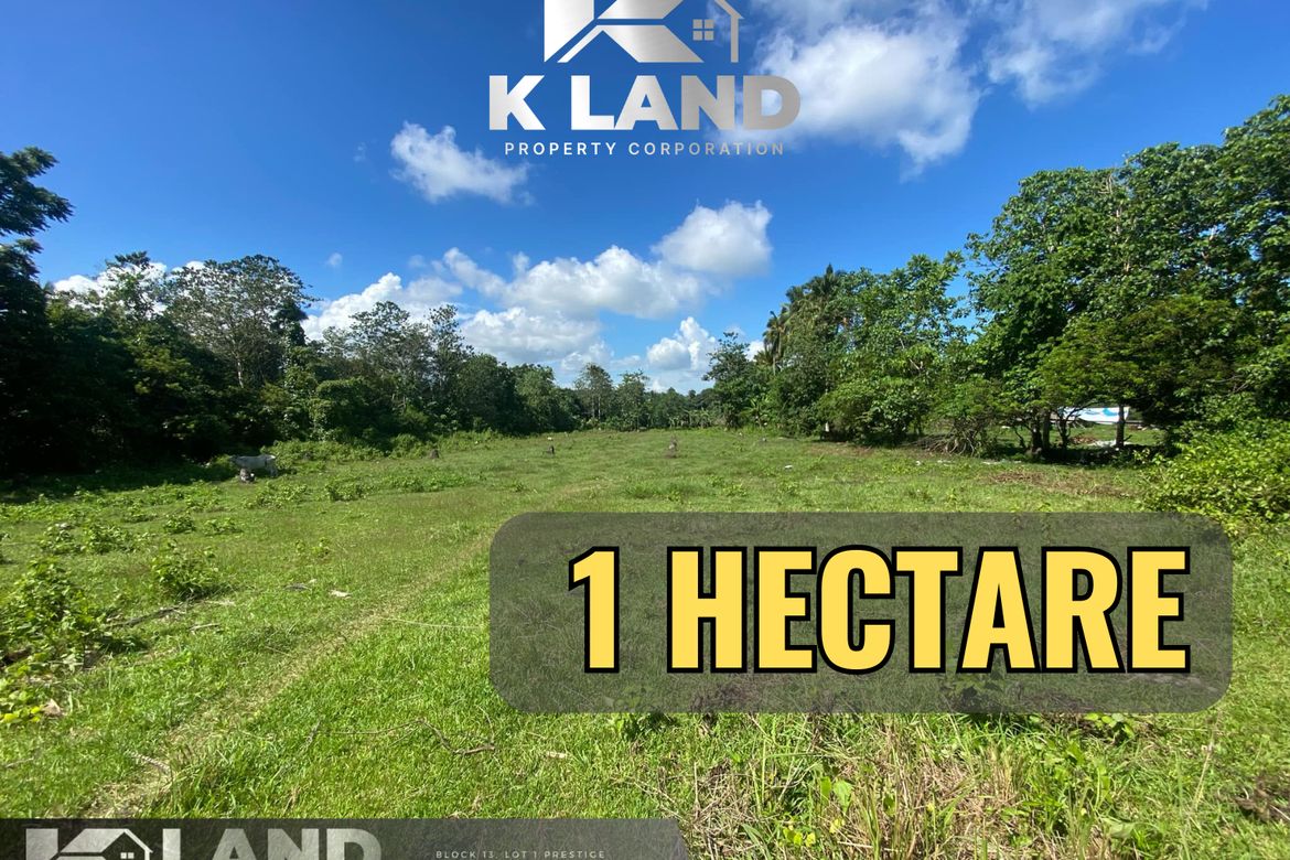 Land for Sale in Camudmud, Samal, Davao del Norte