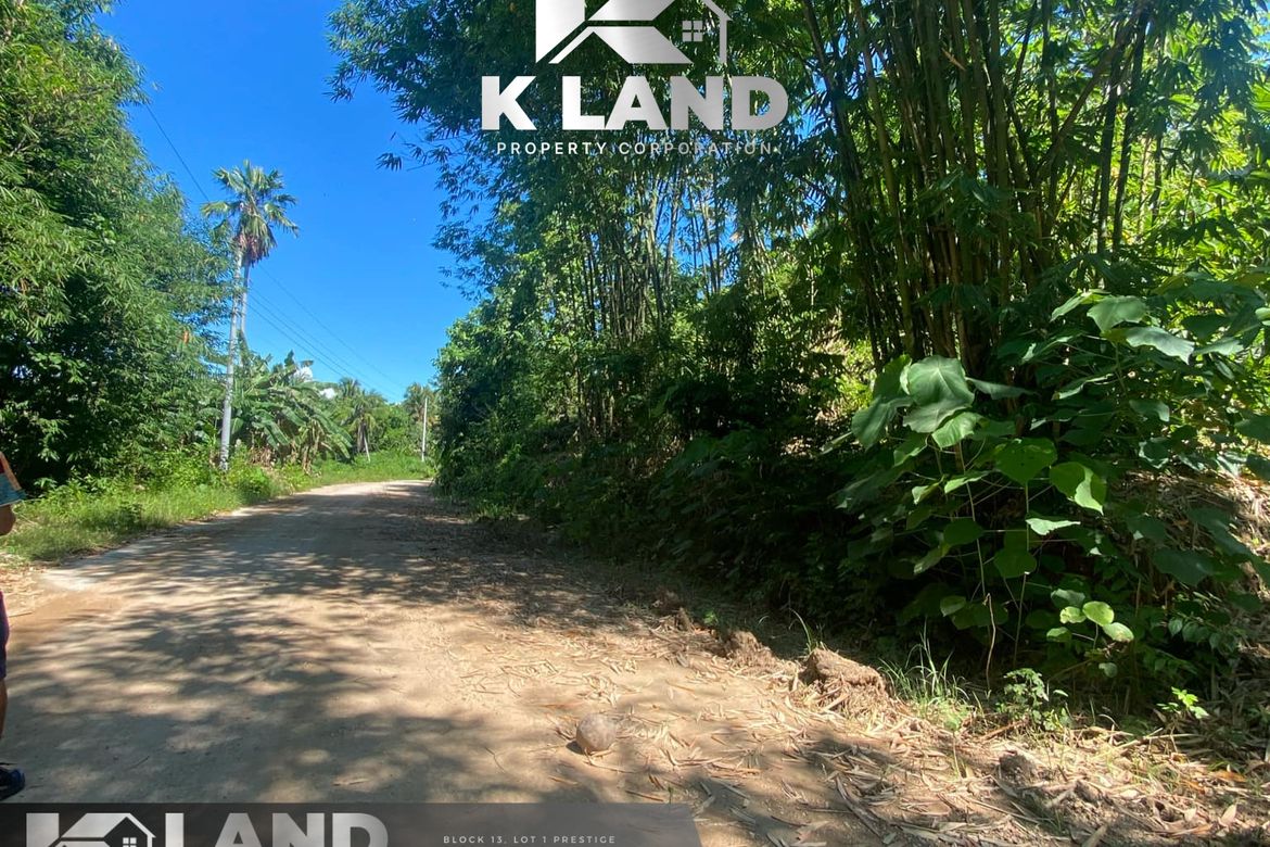 Land for Sale in Camudmud, Samal, Davao del Norte – photo 3