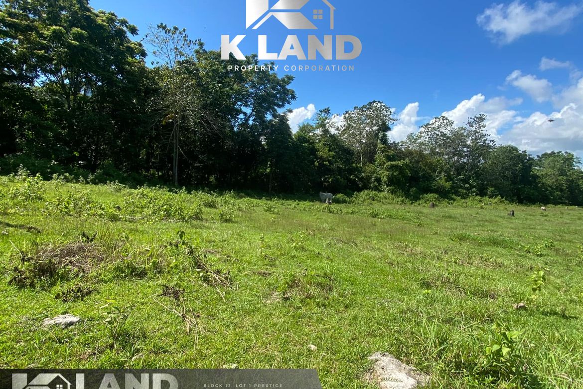 Land for Sale in Camudmud, Samal, Davao del Norte – photo 4