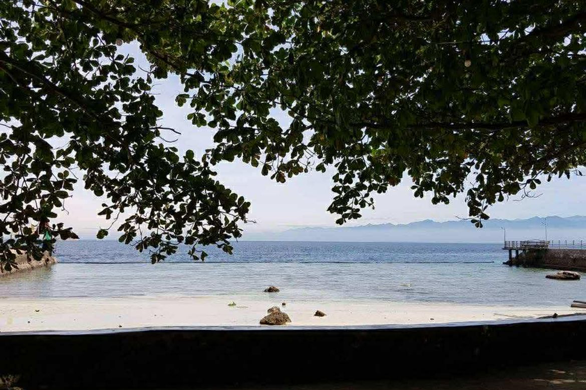 Land for Sale in Camudmud, Samal, Davao del Norte – photo 2