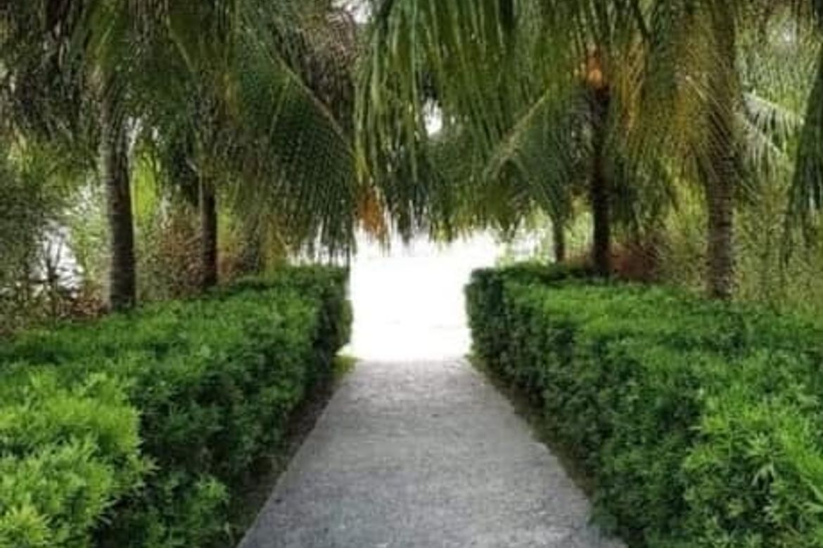 Land for Sale in Camudmud, Samal, Davao del Norte – photo 4
