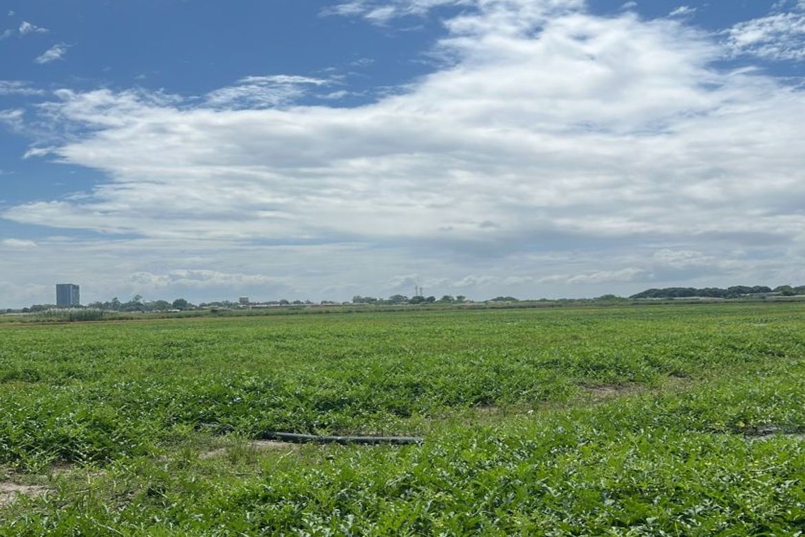 Land for Sale in Camuning, Mexico, Pampanga