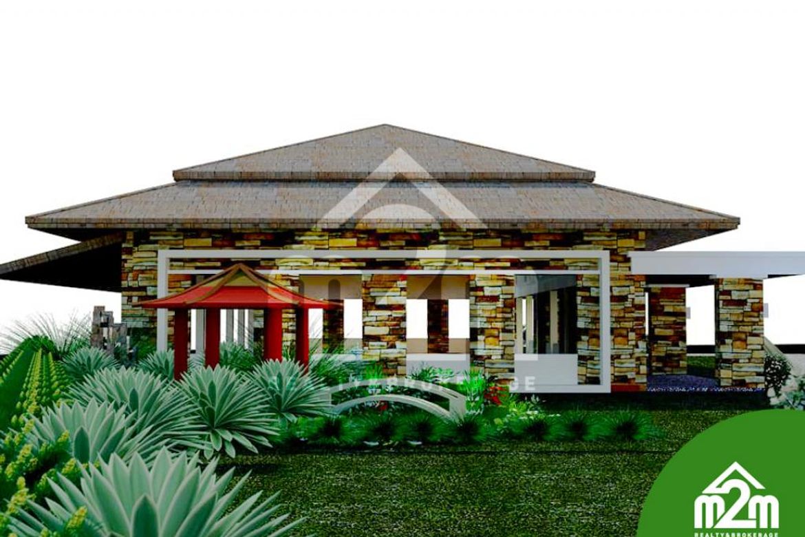 Land for Sale in Can-Asujan, Carcar, Cebu – photo 5