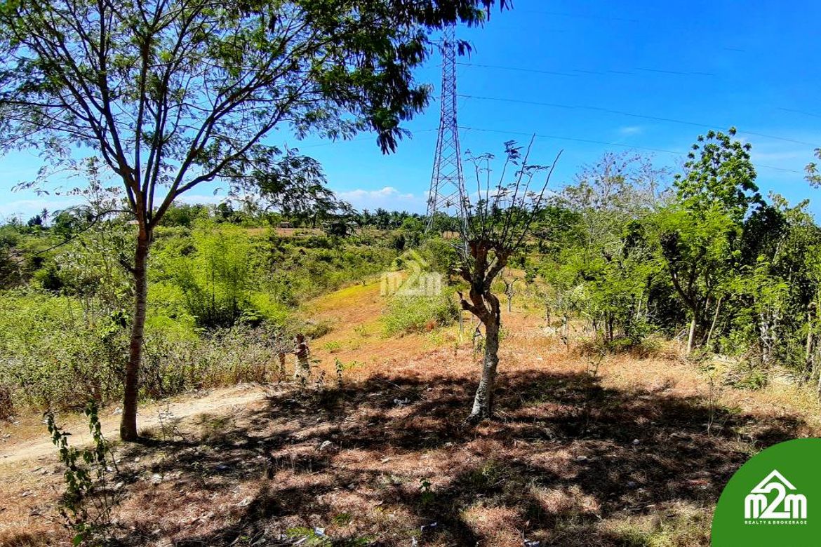 Land for Sale in Can-Asujan, Carcar, Cebu – photo 8
