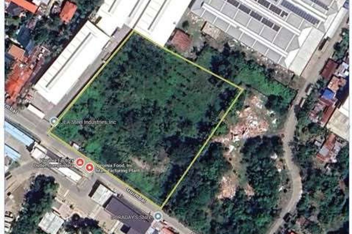Land for Sale in Canamucan, Compostela, Cebu – photo 5
