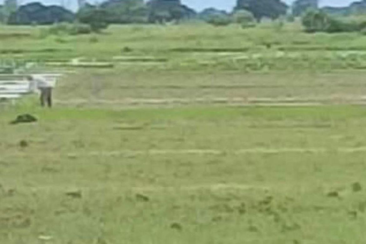 Land for Sale in Canarem, Victoria, Tarlac