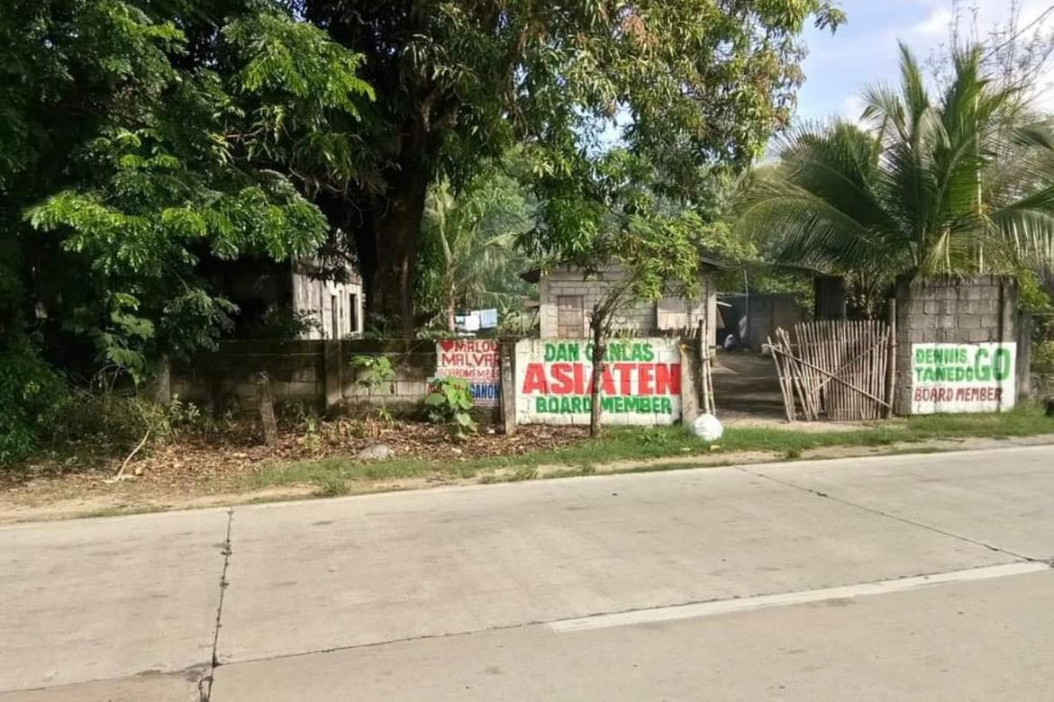 Land for Sale in Canarem, Victoria, Tarlac – photo 4