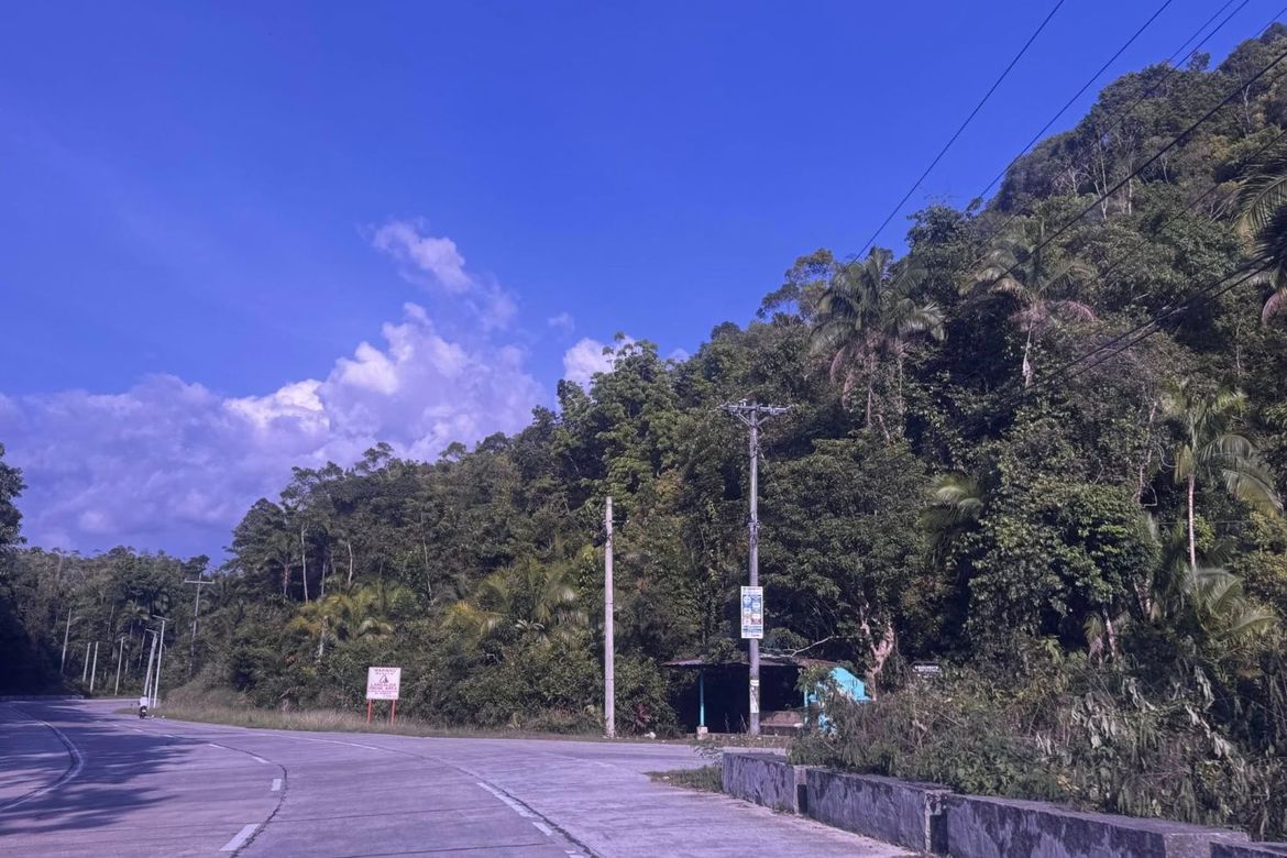 Land for Sale in Cancatac, Corella, Bohol – photo 2