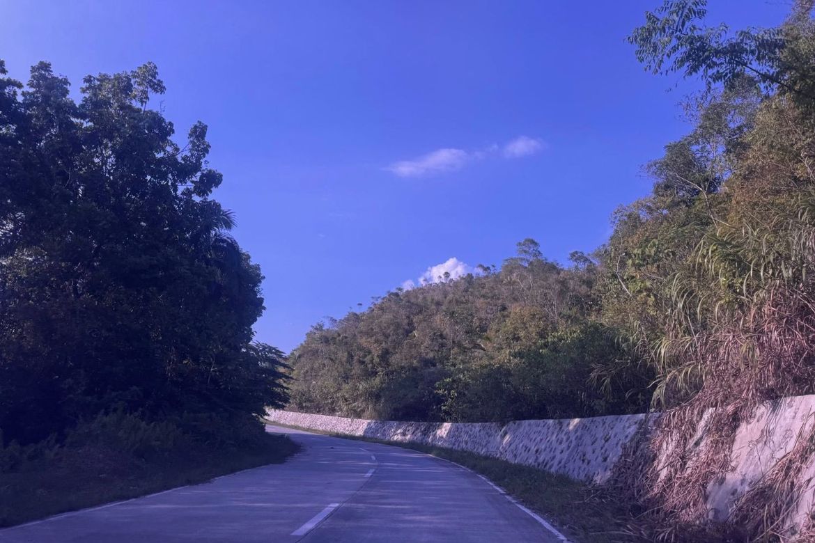 Land for Sale in Cancatac, Corella, Bohol – photo 4