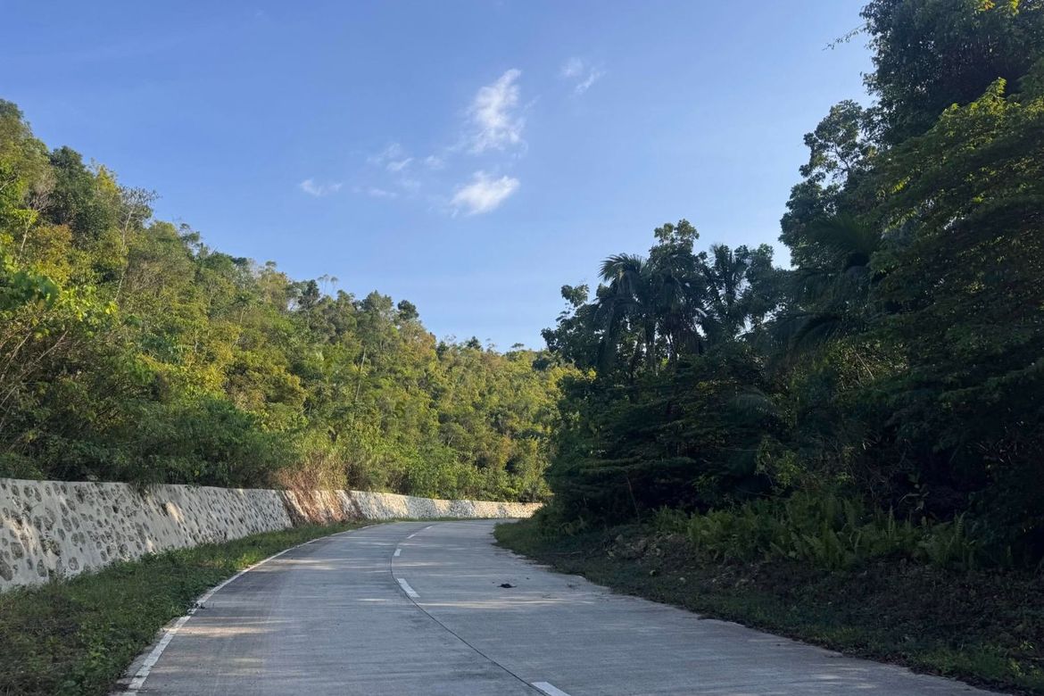 Land for Sale in Cancatac, Corella, Bohol – photo 5
