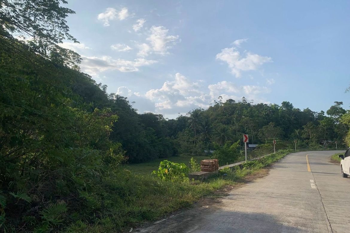 Land for Sale in Cancatac, Corella, Bohol – photo 7