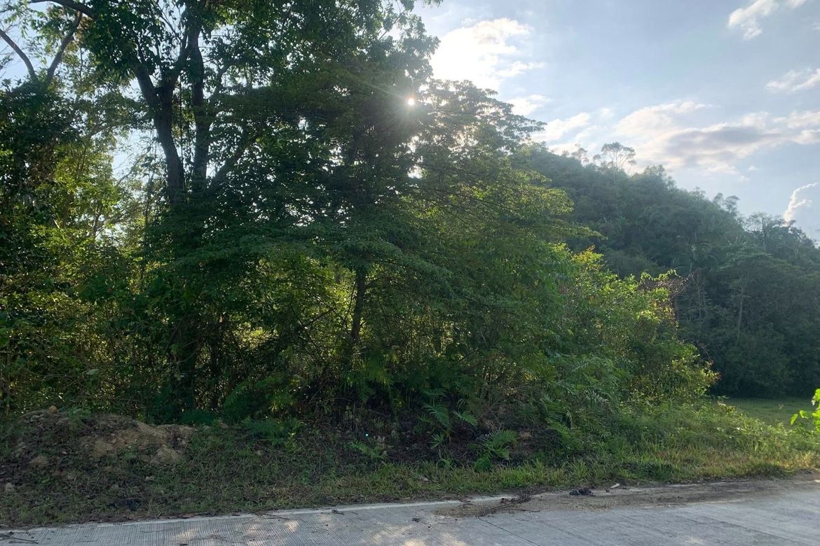 Land for Sale in Cancatac, Corella, Bohol – photo 8