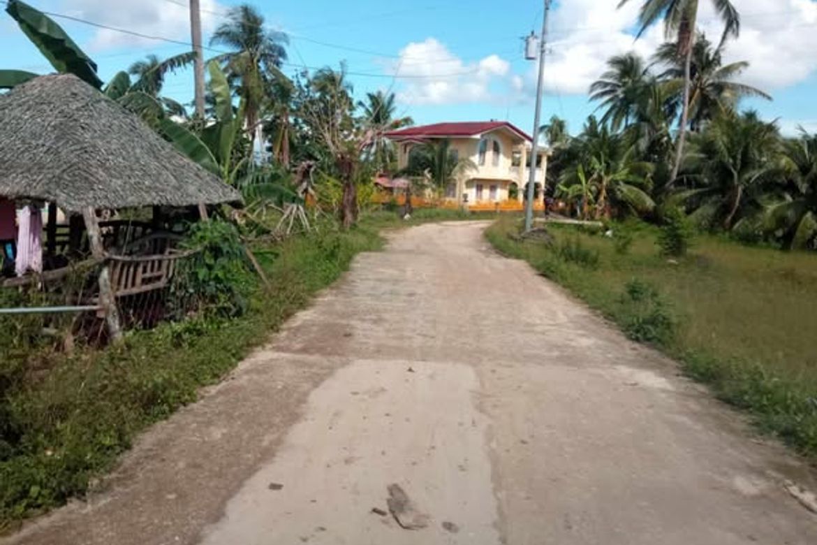 Land for Sale in Candabong, Alcantara, Cebu – photo 3