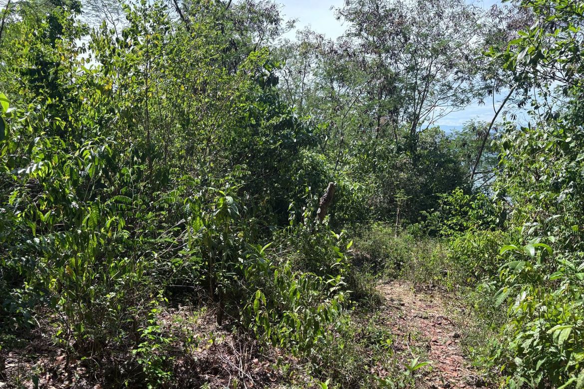 Land for Sale in Candanay Norte, Siquijor, Siquijor – photo 5