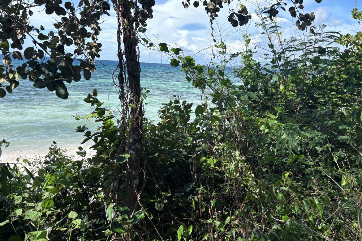 Land for Sale in Candanay Norte, Siquijor, Siquijor – photo 6