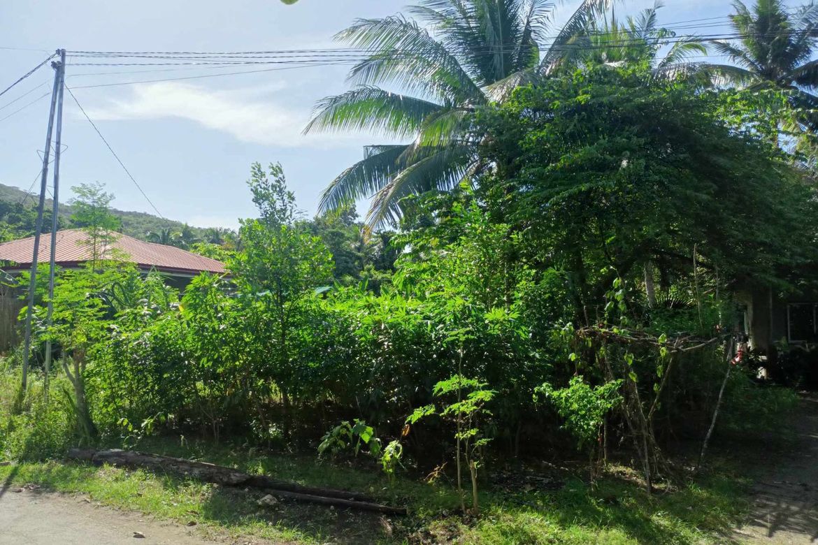 Land for Sale in Candanay Norte, Siquijor, Siquijor – photo 2