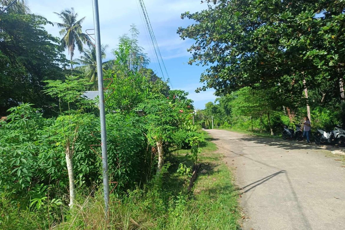 Land for Sale in Candanay Norte, Siquijor, Siquijor – photo 6