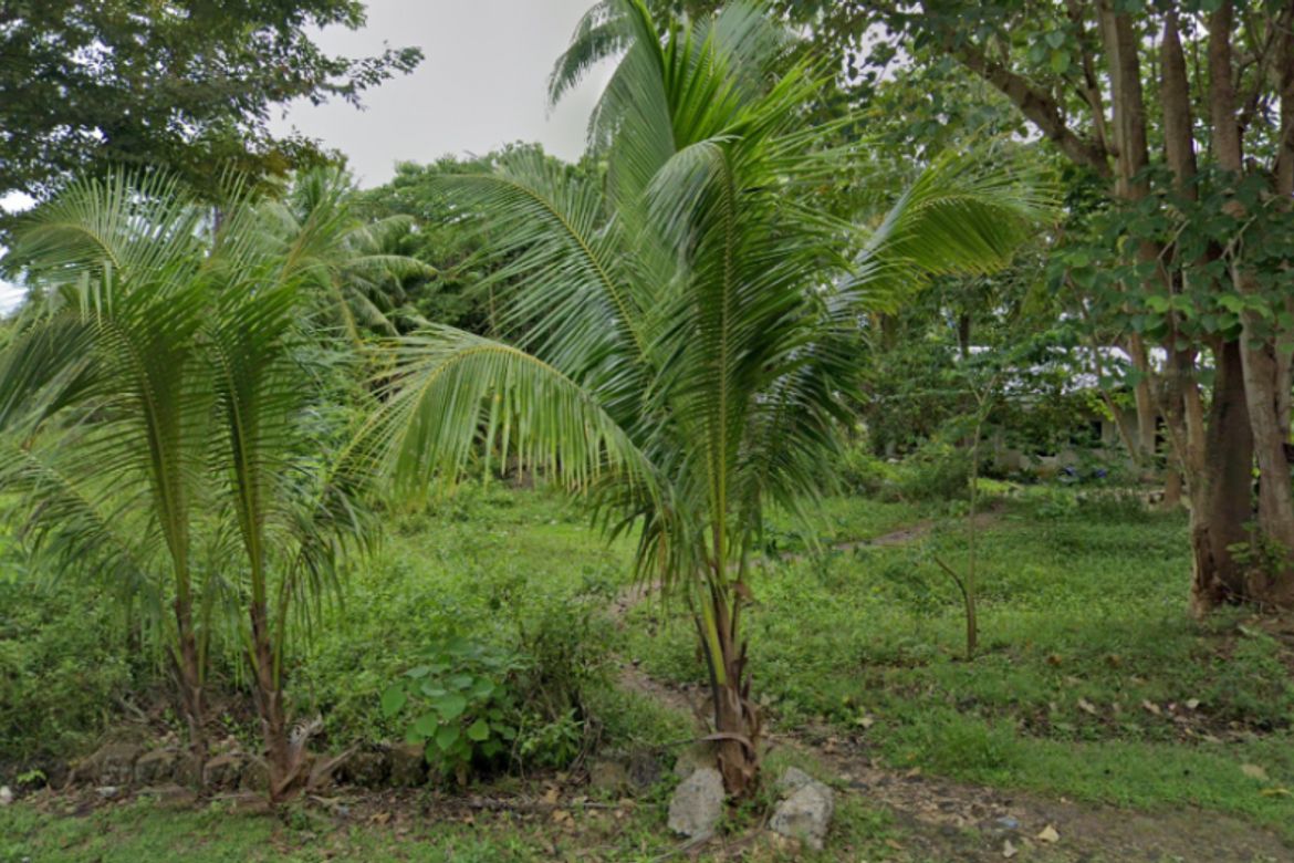 Land for Sale in Candaping A, Maria, Siquijor – photo 2