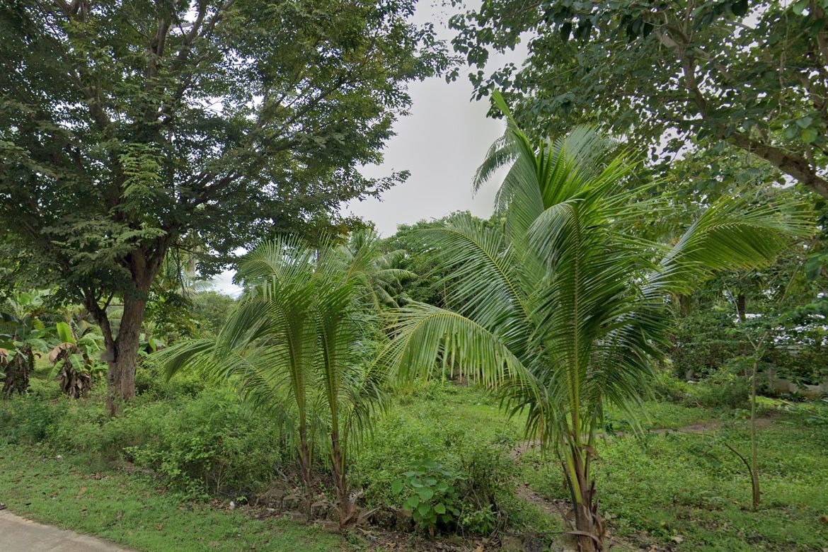 Land for Sale in Candaping A, Maria, Siquijor – photo 4