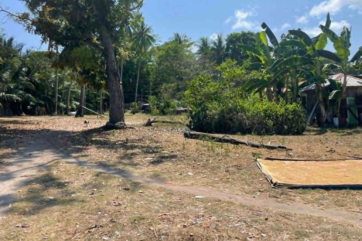 Land for Sale in Candaping A, Maria, Siquijor – photo 4