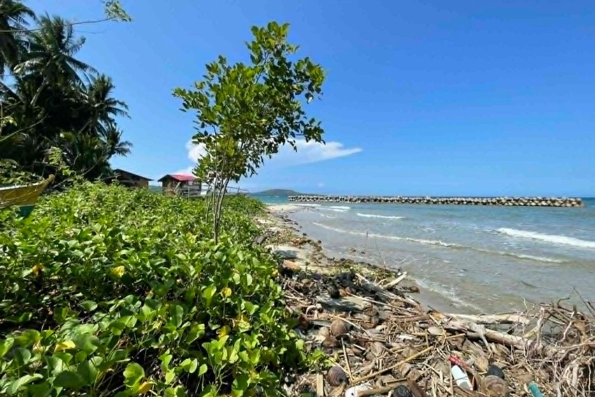 Land for Sale in Candaping A, Maria, Siquijor – photo 5