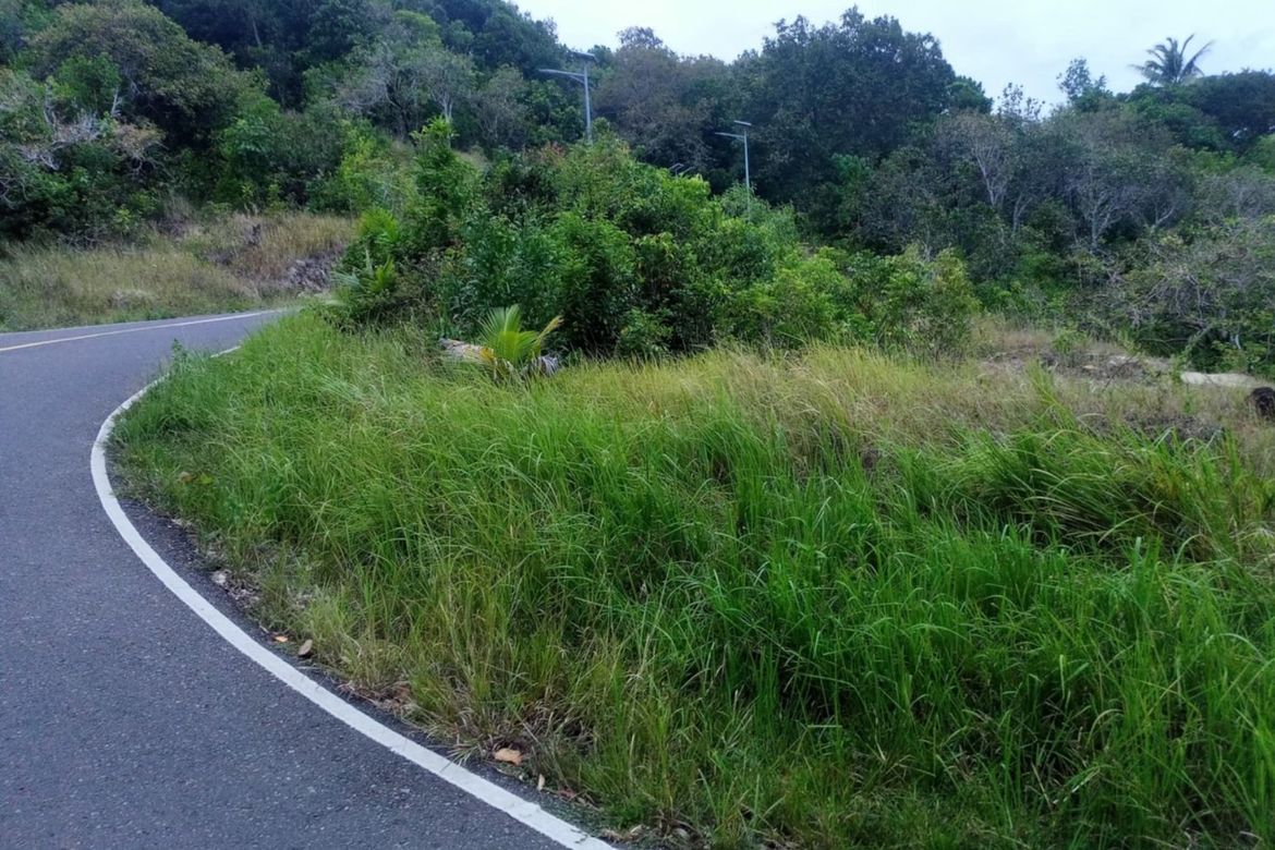 Land for Sale in Candaping B, Maria, Siquijor – photo 2