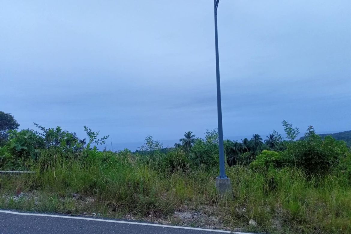 Land for Sale in Candaping B, Maria, Siquijor – photo 3