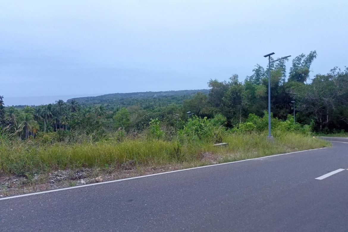 Land for Sale in Candaping B, Maria, Siquijor – photo 6