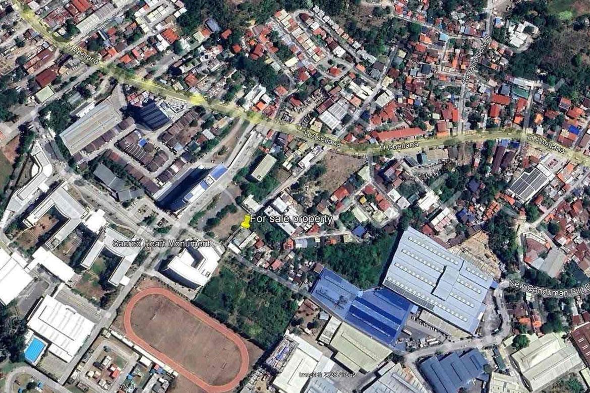 Land for Sale in Canduman, Mandaue, Cebu – photo 6