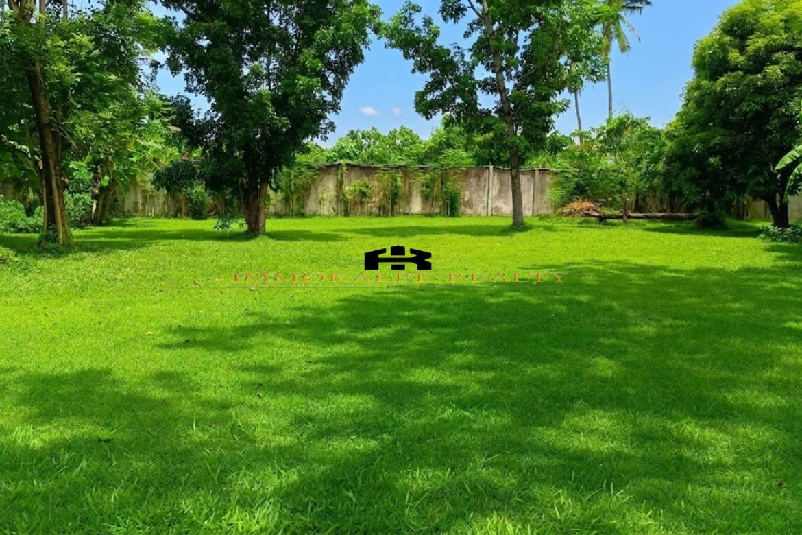 Land for Sale in Canduman, Mandaue, Cebu – photo 2