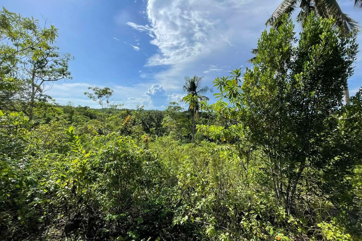 Land for Sale in Candura, San Juan, Siquijor – photo 4