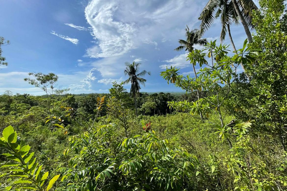 Land for Sale in Candura, San Juan, Siquijor – photo 5