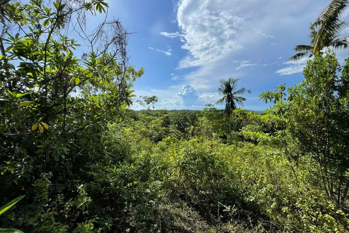 Land for Sale in Candura, San Juan, Siquijor – photo 7