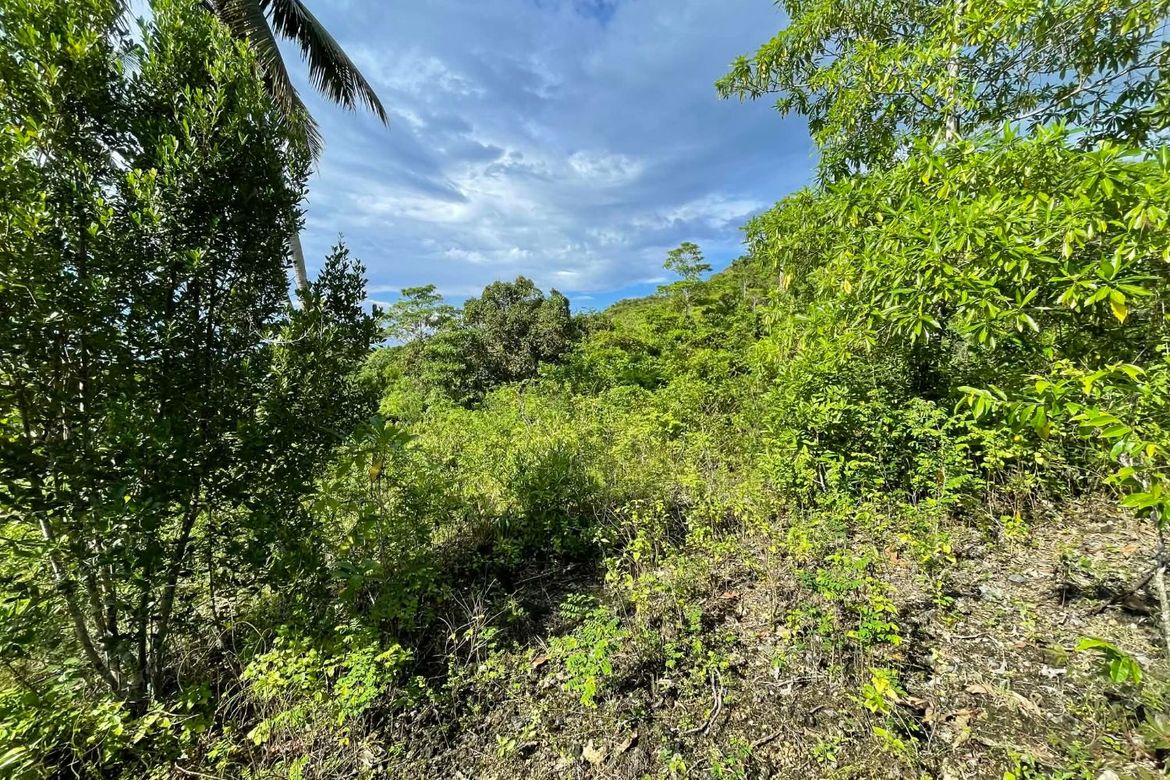 Land for Sale in Candura, San Juan, Siquijor – photo 8