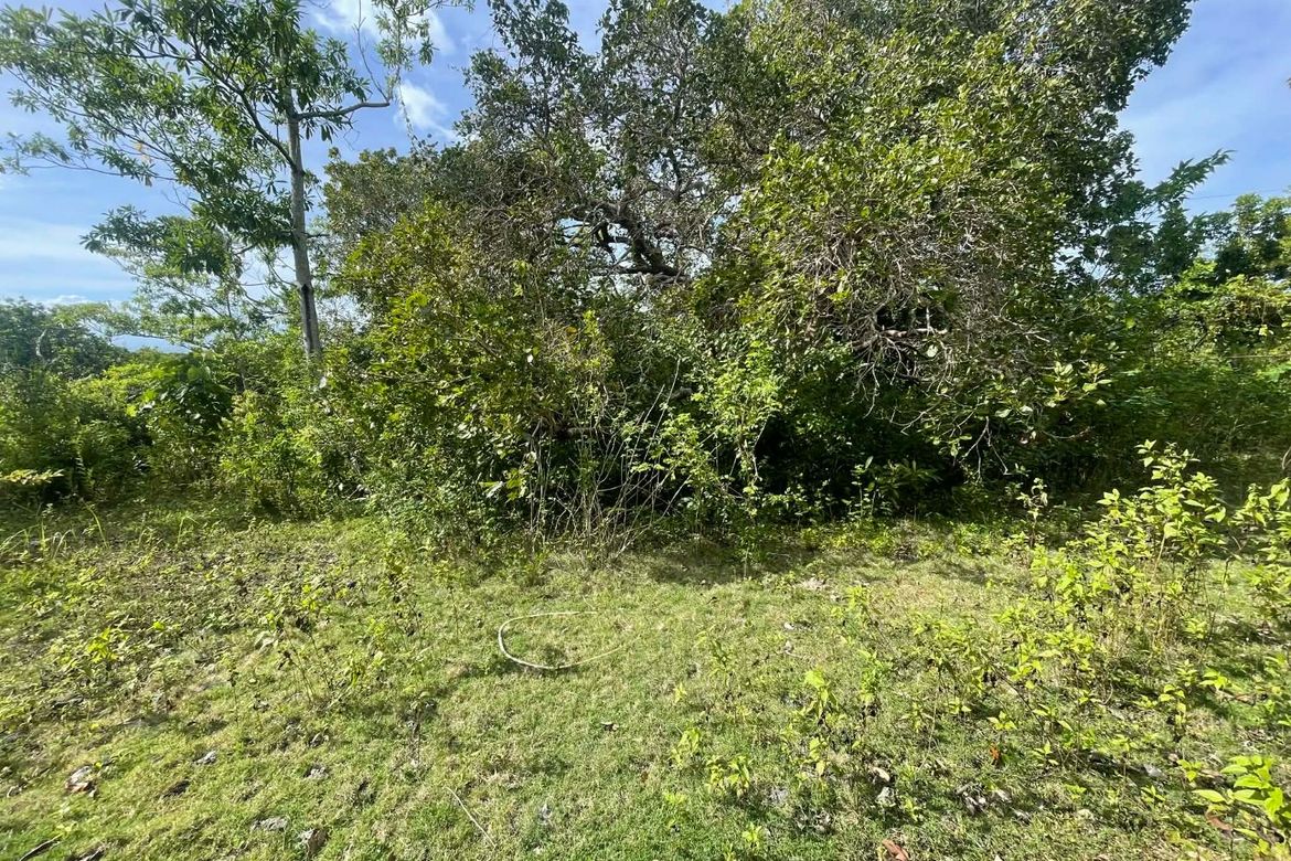 Land for Sale in Candura, San Juan, Siquijor – photo 3