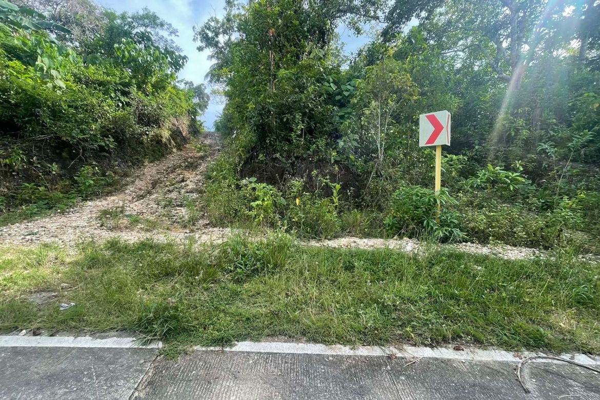 Land for Sale in Candura, San Juan, Siquijor – photo 5