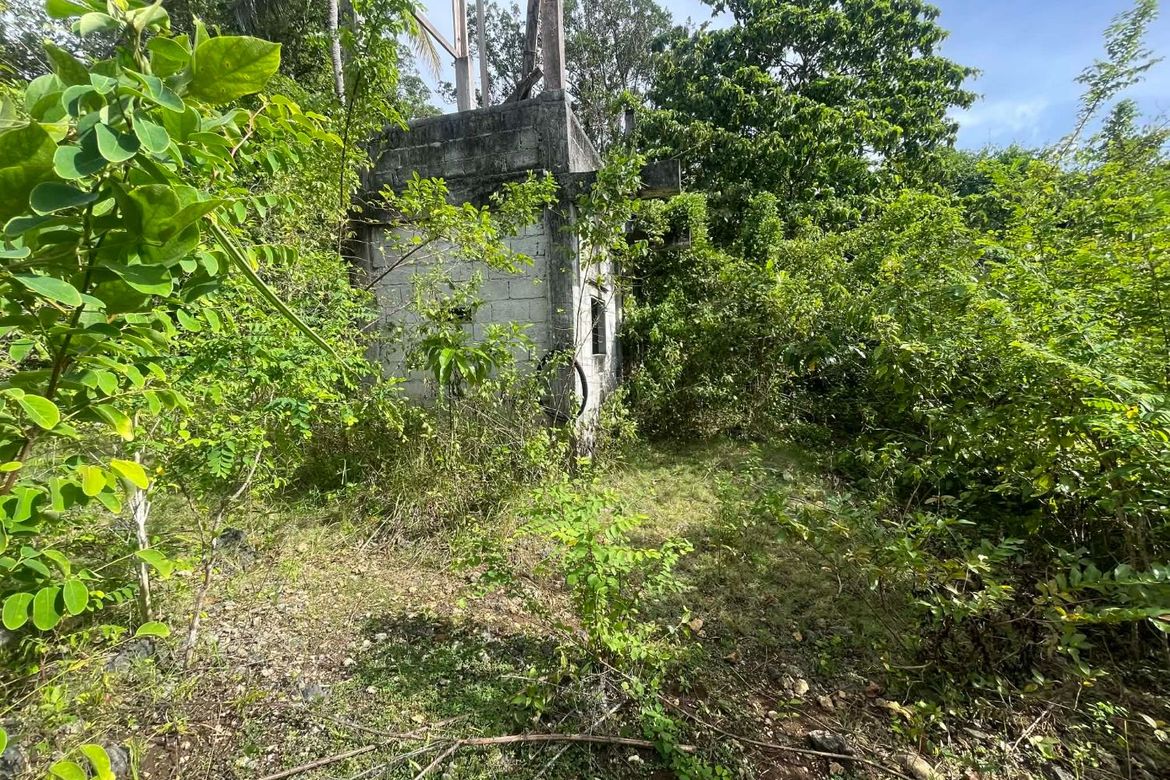 Land for Sale in Candura, San Juan, Siquijor – photo 6