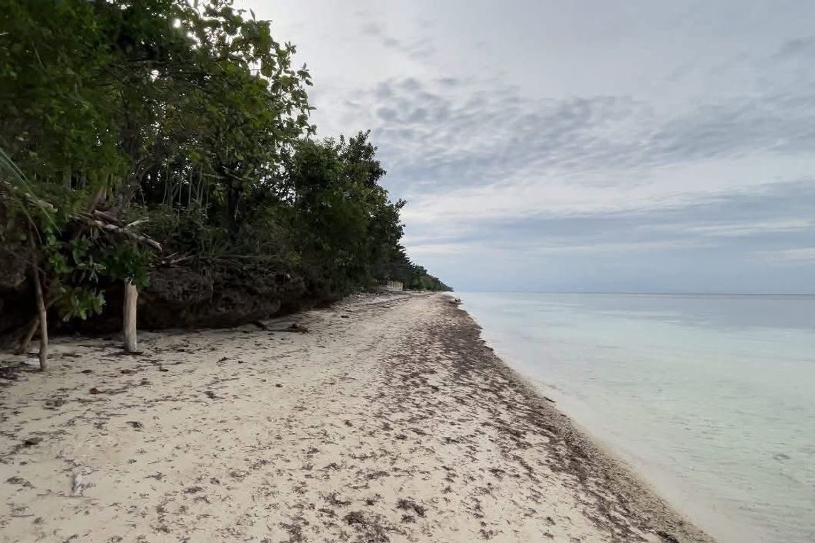 Land for Sale in Cang-Agong, Siquijor, Siquijor